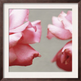 Rose Petals I