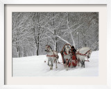 Man Rides a Sleigh Carrying Tourists in Park on a Bank of Moskva River at Outskirts of Moscow