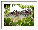 Riders are Seen Through Vineyards as the Pack Pedals Outside Beziers