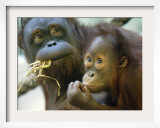 Deu Zoo Berlin