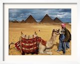 An Egyptian Man Rests His Camel Waiting for Locals and Tourists to Rent It
