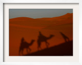The Shadows of Tourists are Seen as They Ride Camels