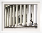 A Man Peers from Between Columns of the City Courthouse in Campos  Brazil