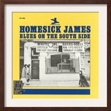Homesick James - Blues on the South Side