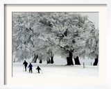 Cross Country Skiers Head Through a Deep Layer of Snow on the Mountain Schauinsland
