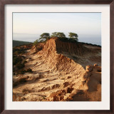 Canyon Walkway