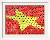 Vietnamese Students Flip Colored Placards
