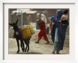 Afghan Woman Walks Along with Donkey Carrying Jerry Cans Filled with Water in Kabul  Afghanistan