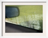 Rain Reflections I