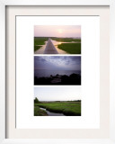 Coastal Streams Triptych