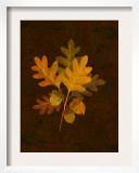 Autumn Leaves I