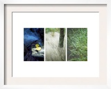 River's Edge Triptych