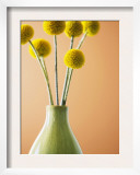 Yellow Bouquet