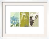 Eastern Floral Triptych