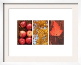 Signs of Autumn Triptych