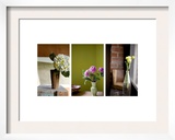 Spring's Stems Triptych