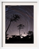 Polar Star Trails Circle around the Pole Star in Fonte-Da-Telha  Portugal