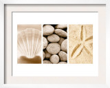 Beach Patterns Triptych