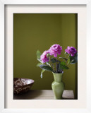 Olive Ambiance  Plum Dahlias