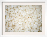 Grains Close up