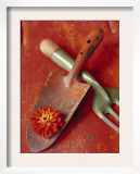 Trowel and Blossom
