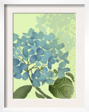 Hydrangea in Blue