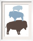 Blue Buffalo