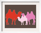 Pink Camel