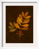 Autumn Leaves III