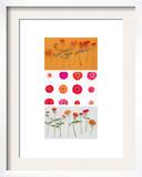 Zinnias Triptych