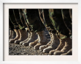 Afghan National Army Air Corp Soldiers Training in Kandahar  Afghanistan