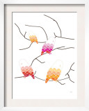 Pink Owl Branch