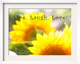Live Laugh Love: Sunflower