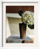 Hydrangea Rustic Vase
