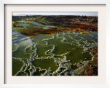 Dallol Geothermal Area  Danakil Depression  Ethiopia