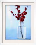 Winterberry Holly