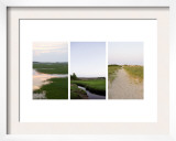Coastal Streams Triptych