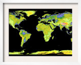 Digital Elevation Model of the Continents on Earth