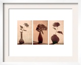 Floral Silhouettes Triptych