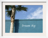 Dream Big