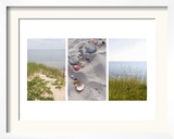 Shells and Dunes Triptych