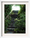 Ascent in Nature's Midst