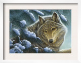 Wolf in Snow
