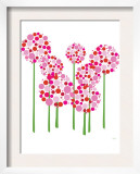 Pink Allium