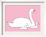 Pink Swan