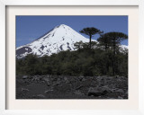 Llaima Volcano  Araucania Region  Chile