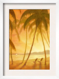 Tropical Beach with Palm Trees