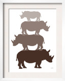 Brown Rhino