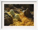 Dallol Geothermal Area  Danakil Depression  Ethiopia