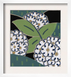 Abstract White Flowers